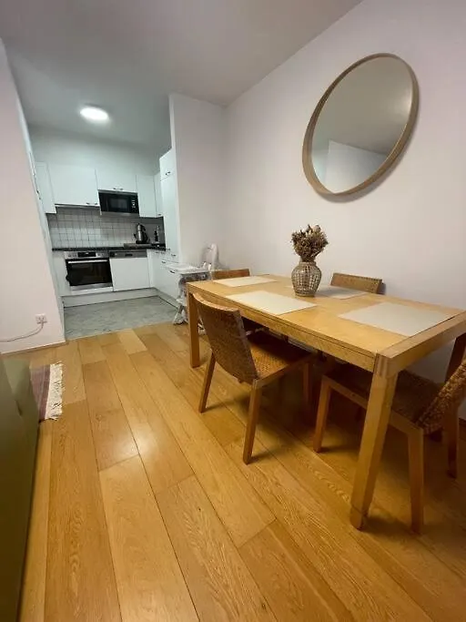 Modern Central City Flat Vienna