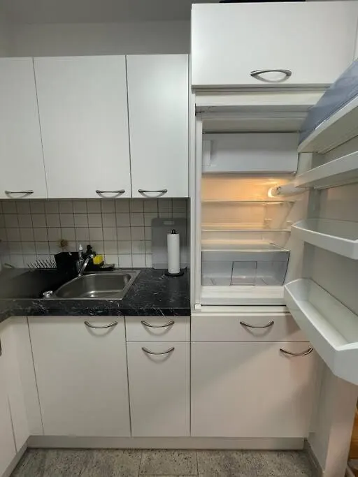 Modern Central City Flat Vienna Apartment